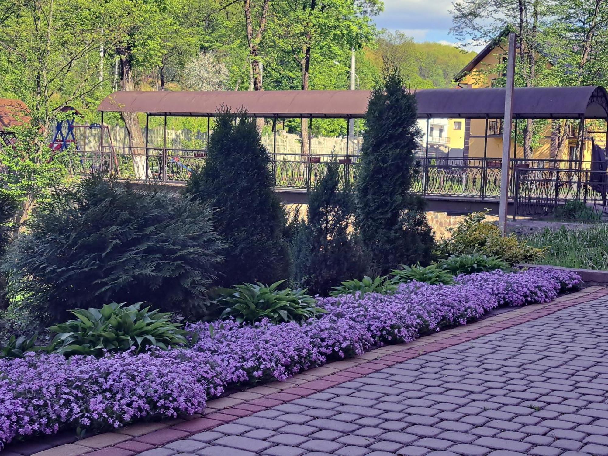 Сонячна Соната Hotel Polyana  Exterior photo