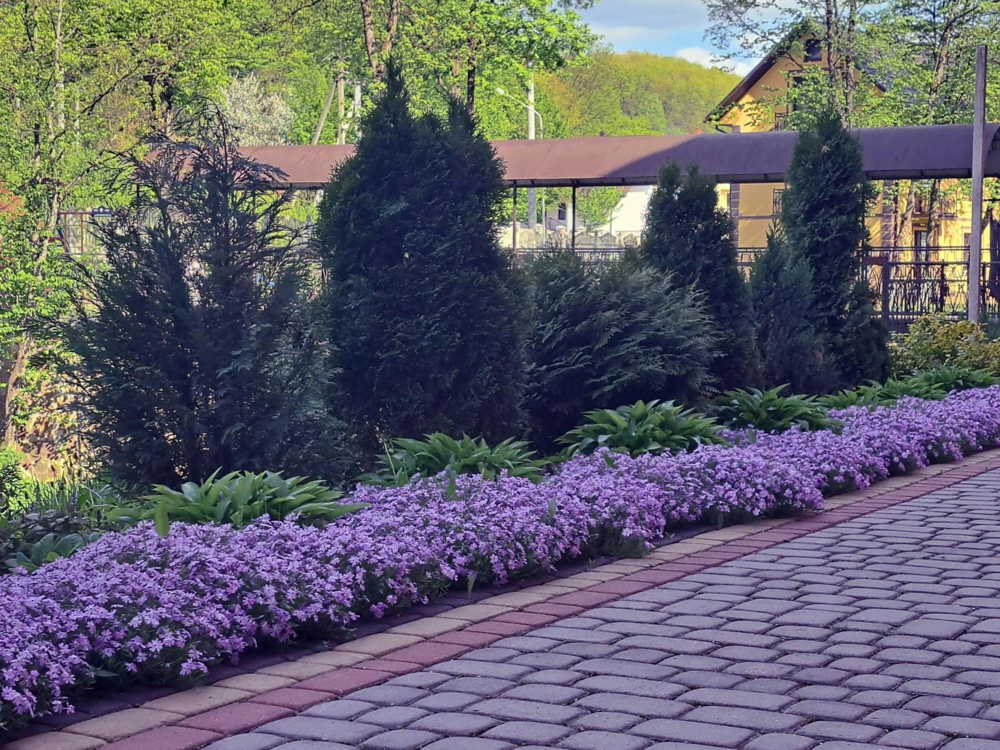 Сонячна Соната Hotel Polyana  Exterior photo